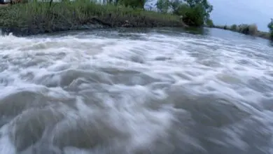 Riscul de inundații pe râurile Jiul și Gilort