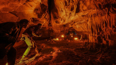 Exercițiu de salvare la Baia de Fier