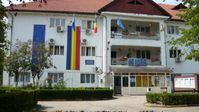 S-au bătut pe strada Prieteniei din Rovinari